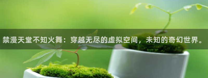 动漫软件omofun：禁漫天堂不知火舞：穿越无尽的虚拟空间，未知的奇幻世界。