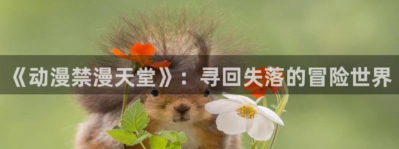 omofun电脑端：《动漫禁漫天堂》：寻回失落的冒险世界