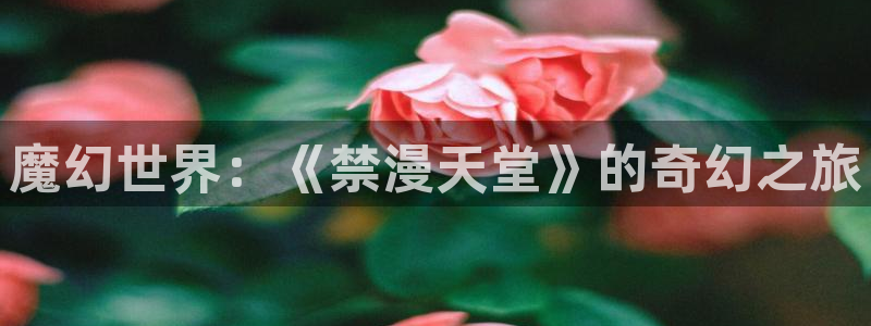 omofun苹果版安装包：魔幻世界：《禁漫天堂》的奇幻之旅
