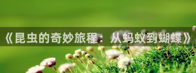 omofun网页版：《昆虫的奇妙旅程：从蚂蚁到蝴蝶》