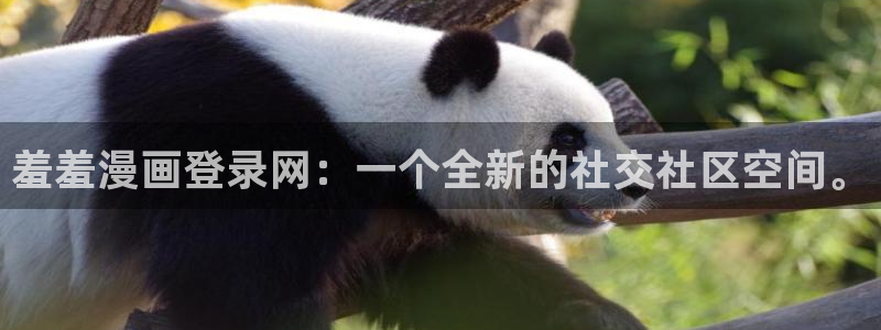 omofun轻量版：羞羞漫画登录网：一个全新的社交社区空间。