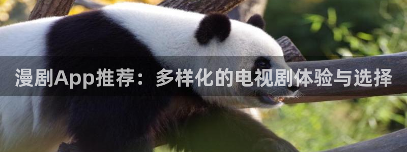 omofun旧版本：漫剧App推荐：多样化的电视剧体验与选择
