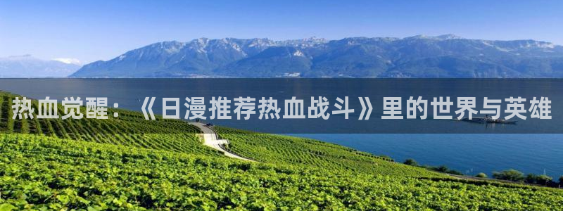omofun更新：热血觉醒：《日漫推荐热血战斗》里的世界与英雄