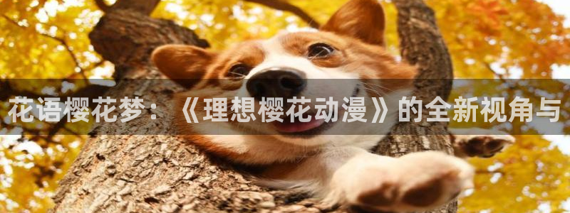 omofun中文官网：花语樱花梦：《理想樱花动漫》的全新视角与