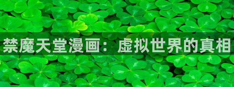 omofun 宕卧：禁魔天堂漫画：虚拟世界的真相