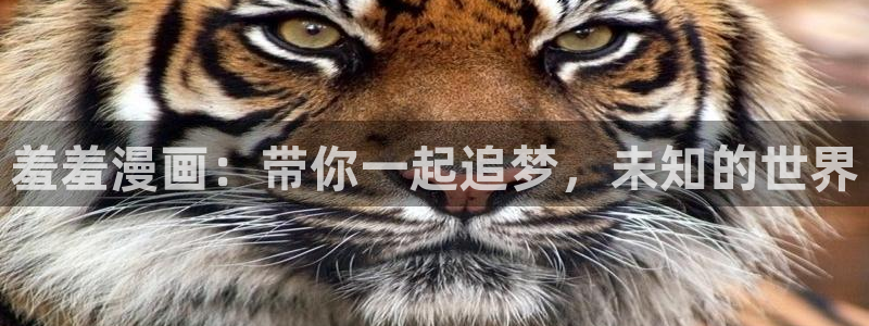 omofun下载ios：羞羞漫画：带你一起追梦，未知的世界